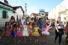 Carnaval-da-Escola-Contos-de-Fada-3