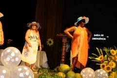 FAT - Faculdade da 3ª idade, promove evento “Verão e Turismo na Costa do Dendê” (44)