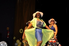 FAT - Faculdade da 3ª idade, promove evento “Verão e Turismo na Costa do Dendê” (45)