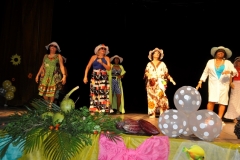 FAT - Faculdade da 3ª idade, promove evento “Verão e Turismo na Costa do Dendê” (47)