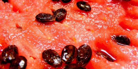 semente-de-melancia