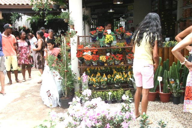 visitantes-apreciam-variedade-de-plantas-e-flores