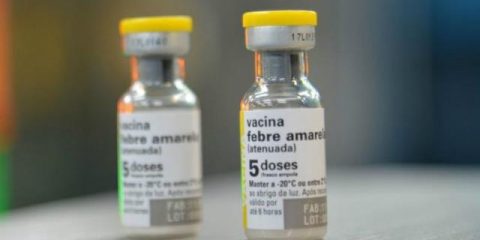 O governo vai iniciar em fevereiro a vacinação da forma fracionada