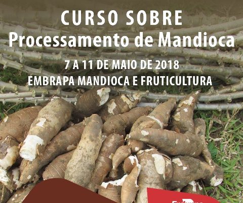 900x900_Curso_Processamento_Mandioca