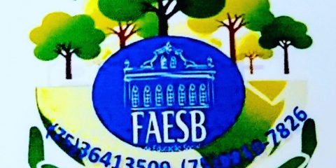 FAESB-Mini curso de planejamento ambiental (4)