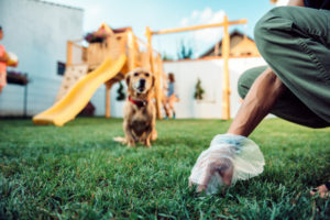 woman-picking-up-dog-poop-from-lawn_137573-2774