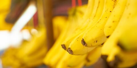 bananas-pendurado-em-uma-corda