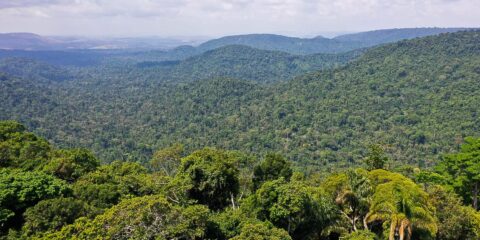 O vice-presidente da República, Hamilton Mourão, e os chefes de missões diplomáticas à Amazônia Oriental, fazem sobrevoo para a  sobre a Floresta Nacional de Carajás e visita à mineradora Vale.
