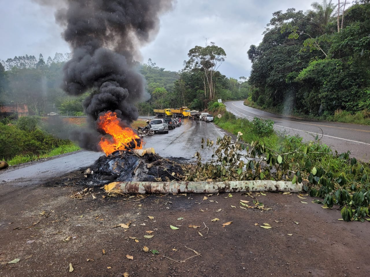 Manifestação orobó (1)