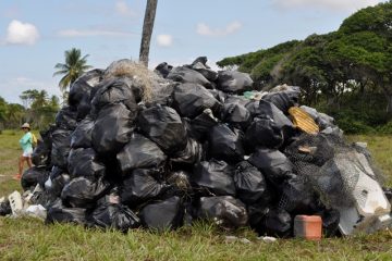 Lixo recolhido passará por reciclagem