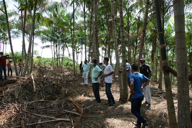 Coopafbasul - dia de Campo (26)