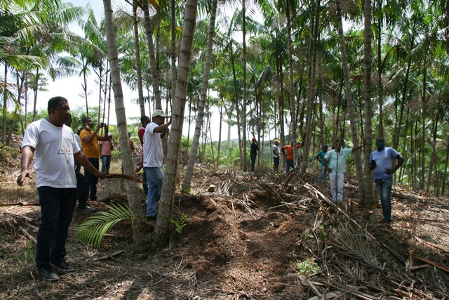 Coopafbasul - dia de Campo (27)