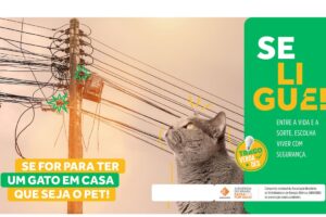 Brasília/DF, 12/07/2023, CAMPANHA NACIONAL FAZ ALERTA PARA ACIDENTES COM A REDE ELÉTRICA. Foto: ABRADEE/Divulgação