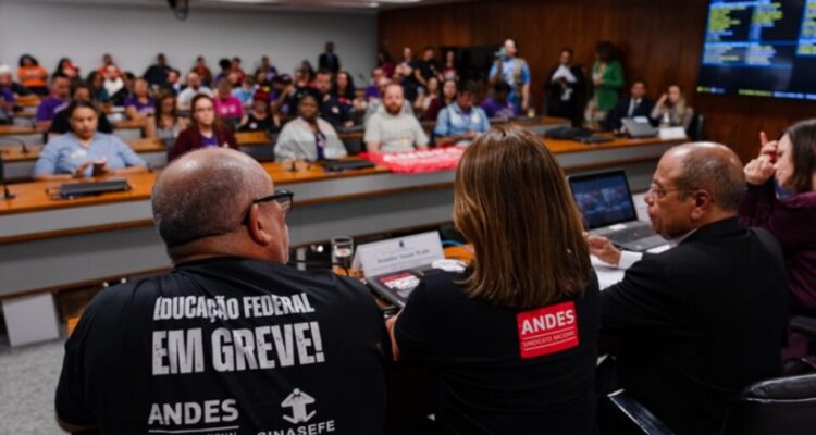 greve-professores-andes-audiencia-senado-foto-divulgacao-andes-960x540