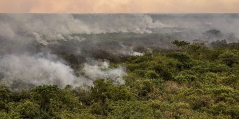 combate-prevfogo_mcamgo_abr_28062024-7