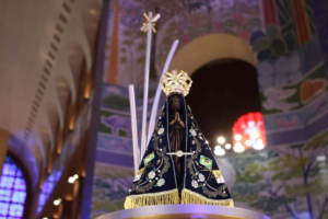 nossa_senhora_aparecida_50c53d837a