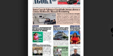 Capa-1033-